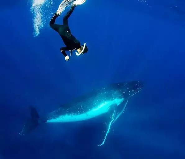 免签出境游推荐,春节海外免签旅游推荐