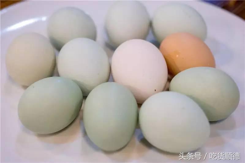 顺德有一家农庄,广东顺德生态农庄