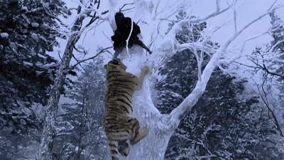 西游伏妖篇徐克评价周星驰,周星驰和徐克西游伏妖篇的宣传片