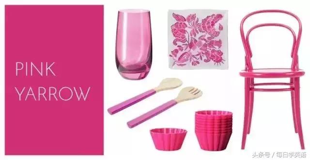 2017年的流行色草木绿,今年流行色薄荷绿