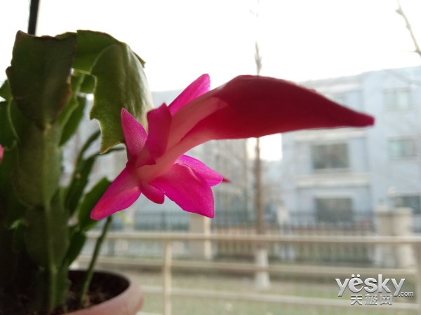 别样“视”界裸眼3D手机SuperDD1体验评测