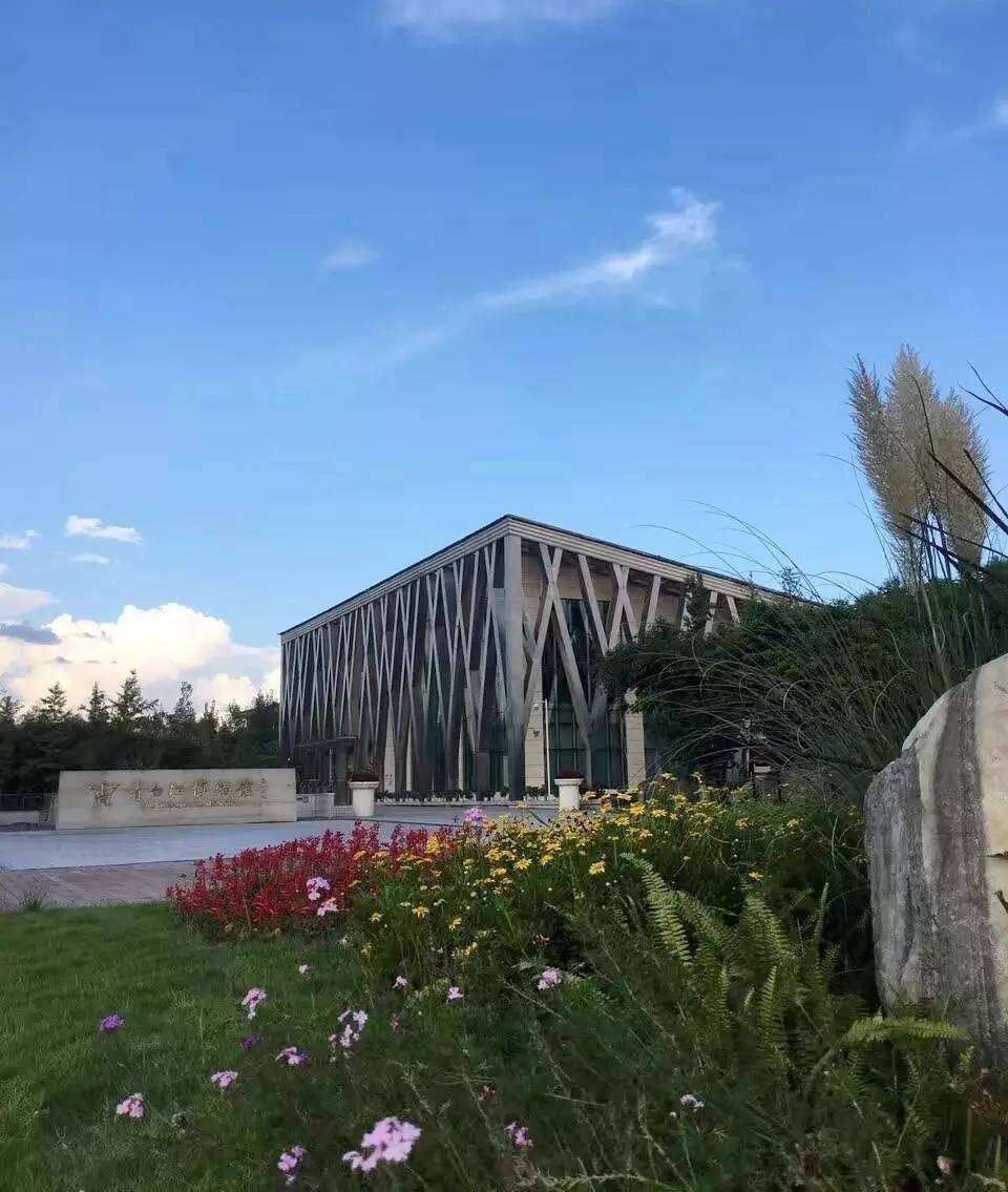 青白江，一个幸福感爆棚的城市，因为我们这样生活……