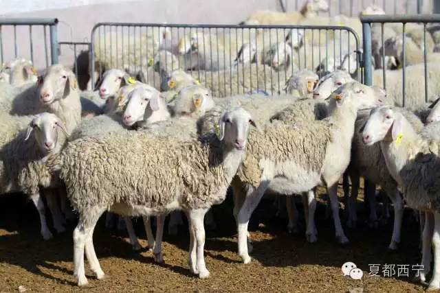 大通贫困村,大通县最穷的三个乡