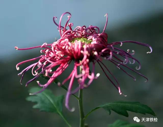 鍜岃皭鑷劧鎽勫奖浣滃搧,鍜岃皭鑷劧鎽勫奖浣滃搧娆ｈ祻