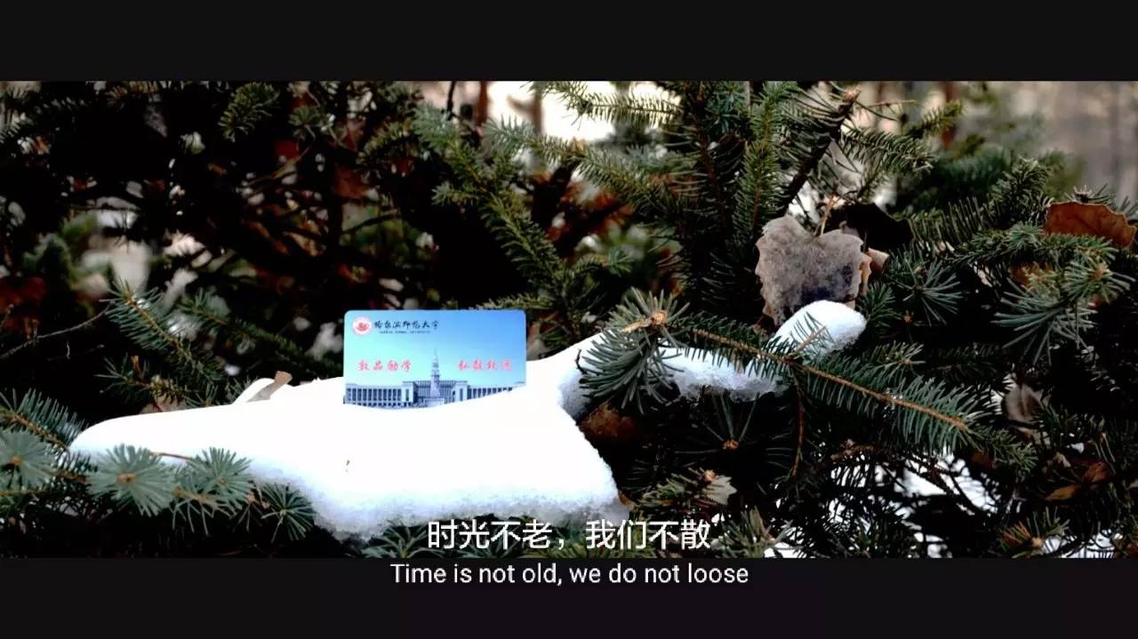 印象哈师大,曾经的哈师大风光