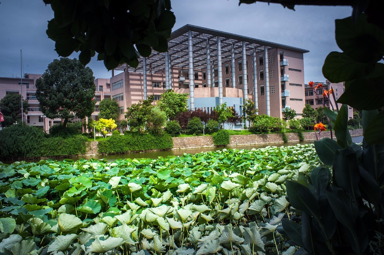 马鞍山二中有多优秀,你所不知道的中国安徽完整版