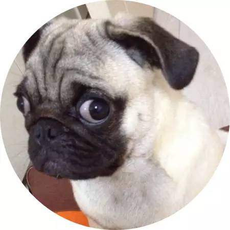 上海看病怎么在网上咨询,在上海看病一定要医保卡吗