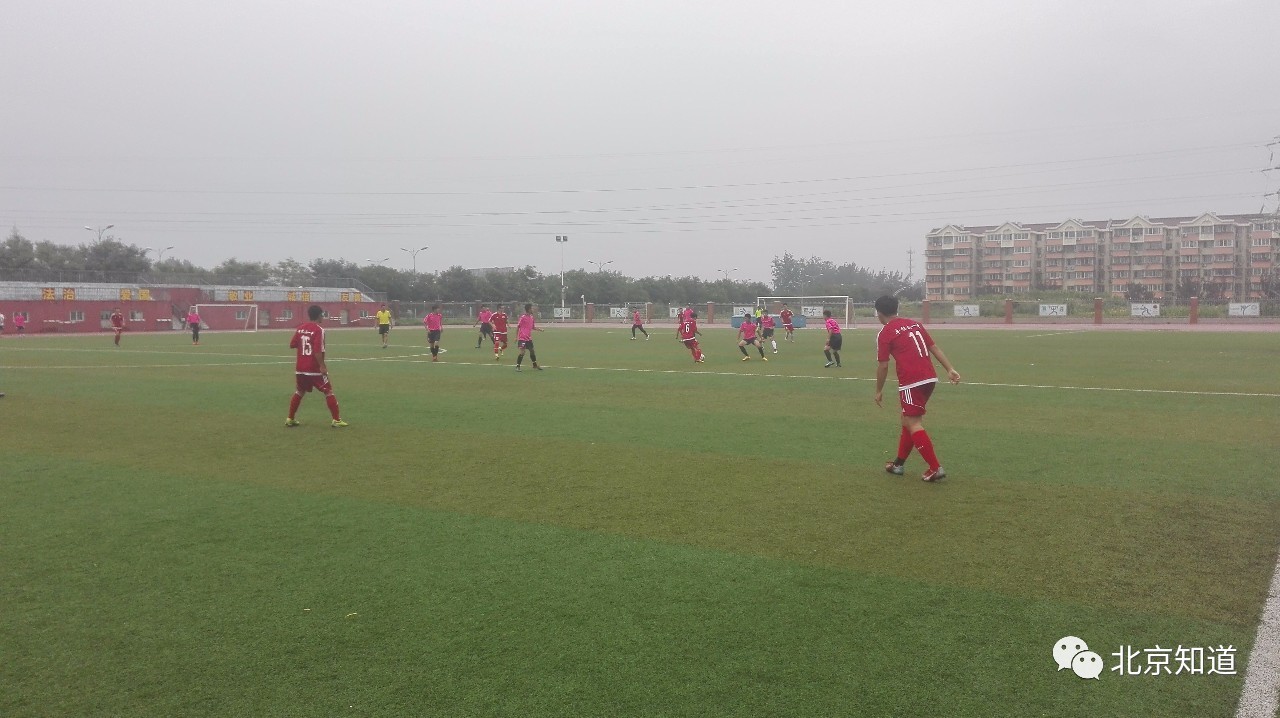 小学足球队挺进全市8强,热烈祝贺我校足球代表队喜获佳绩