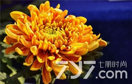 痔疮怎么治两种方法可治疗痔疮