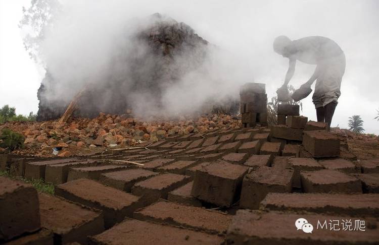 辐射陆龟名字由来,辐射陆龟是什么