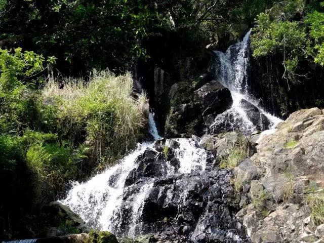 香港是一个充满奇迹的地方,香港是座魅力之城