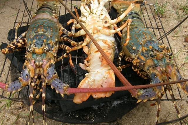 越南芽庄旅游2021 (越南芽庄旅游值得去的地方)