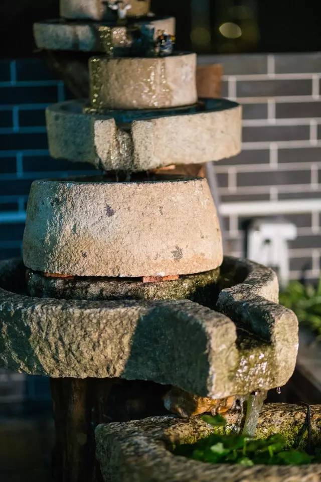 澶氳倝妞嶇墿椁愬惂,妤奸《澶氳倝鑺卞洯椁愬巺