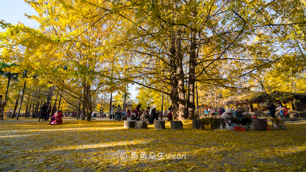 腾冲热海泡温泉旅游攻略,踏上腾冲温泉之旅享受泡汤的美好