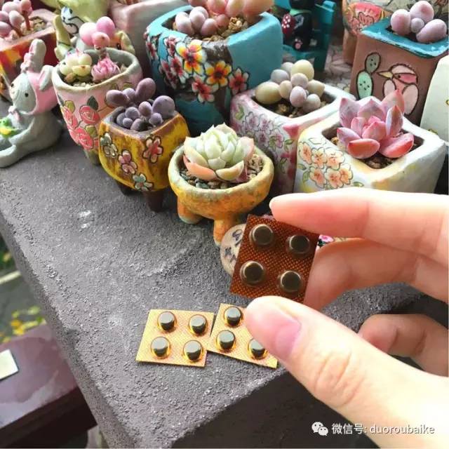 太实用了!图解多肉的配土及用药!
