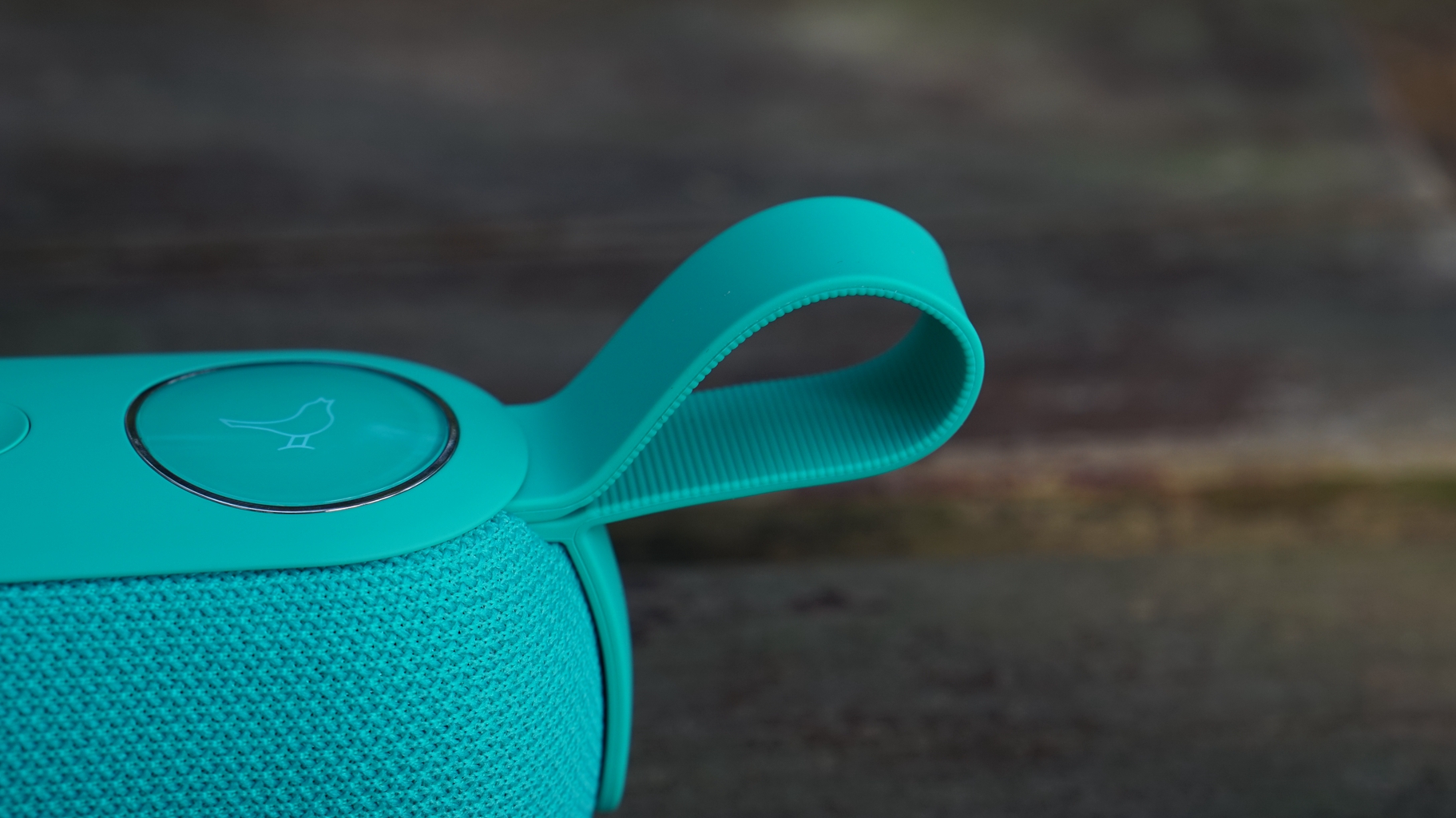 899有些贵,但很值?——北欧小鸟音响体验