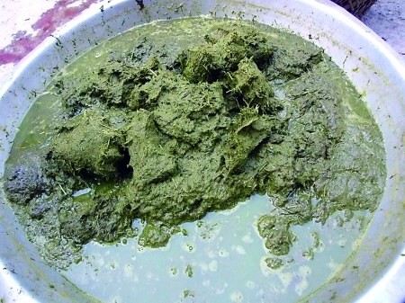 盘点中国十大奇葩美食,盘点各地的奇葩美食