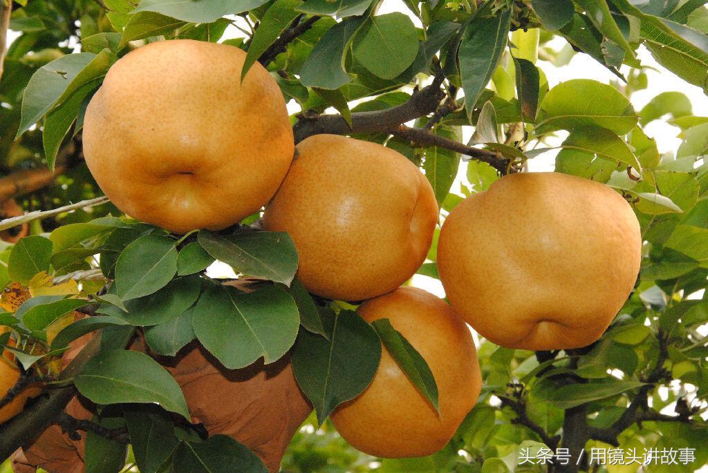 洋县的名片大全,乾县名片