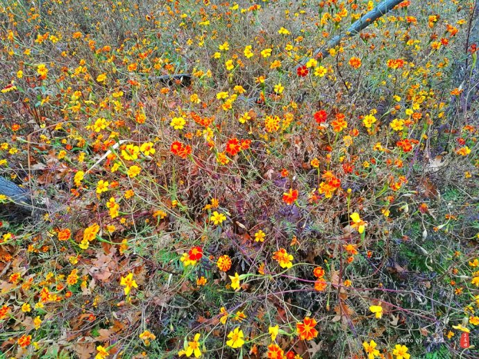 青岛哪里可以泡冰水浴,青岛什么地方可以泡温泉泡澡