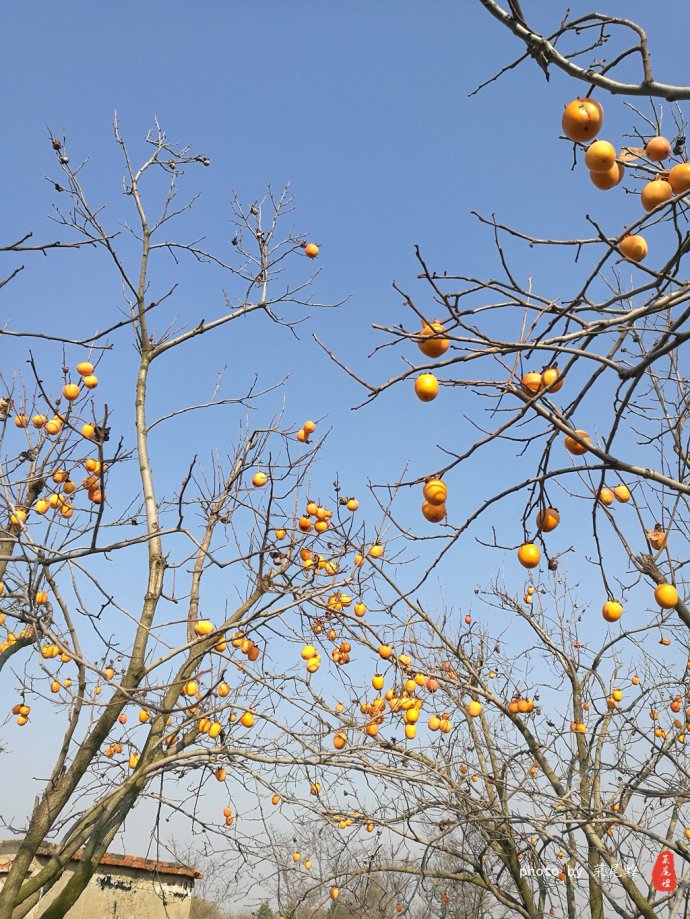 青岛哪里可以泡冰水浴,青岛什么地方可以泡温泉泡澡