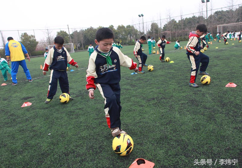 青训的重要,青训的内容是什么