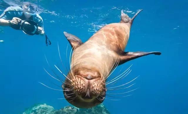 免签出境游推荐,春节海外免签旅游推荐