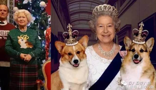 又到一年圣诞节完整视频,又到一年圣诞节