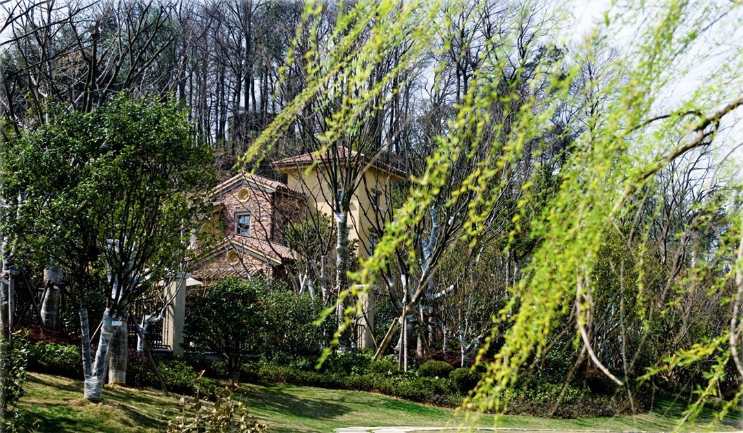 西湖向西30公里，有人用5个岛造了个意大利小镇