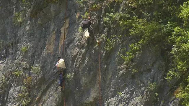 神农架自然保护区旅游攻略,神农架秘境演出值得看吗