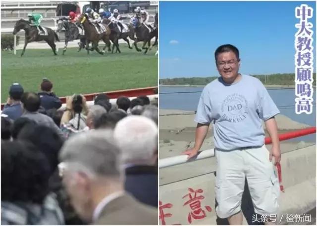 厉害了，中大教授开发方程式赌马狂赢半个亿！