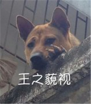 好的都市异能小说推荐,都市异能小说有哪些好的