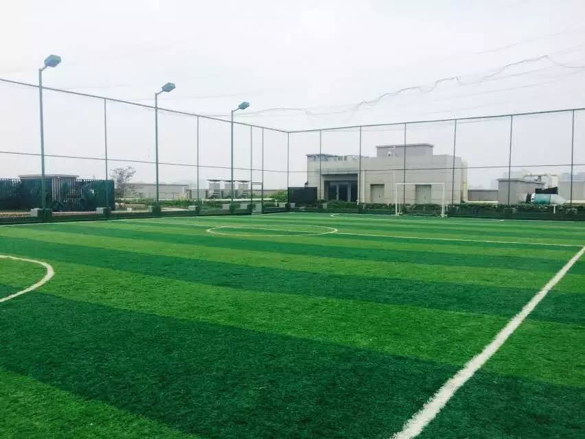 拥抱屋顶，让我们做一场离天空很近的梦