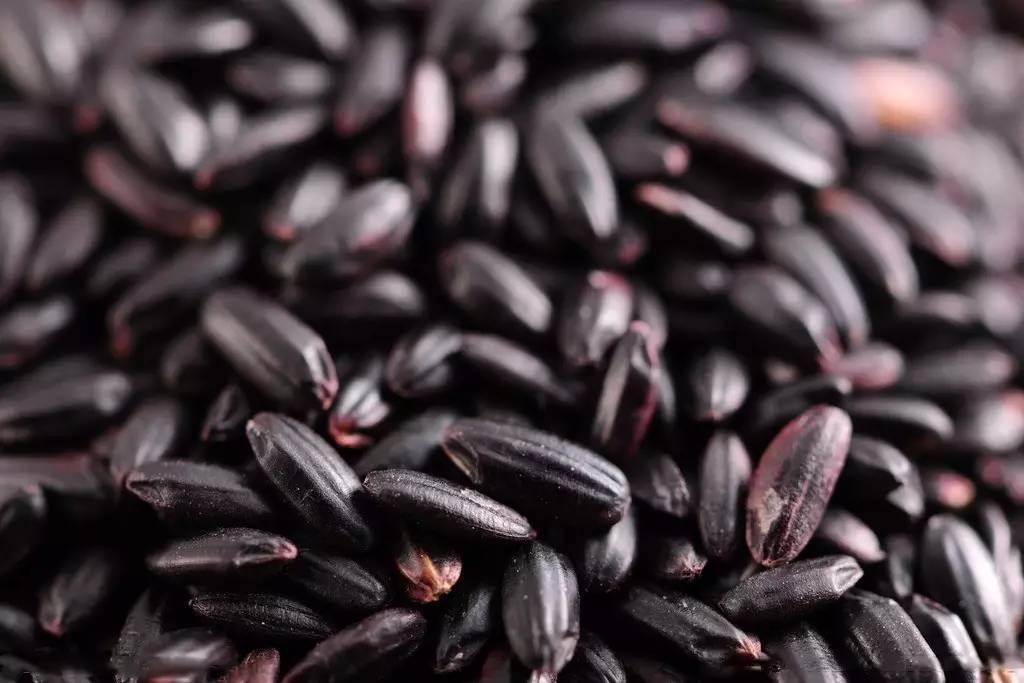 太早走路会o型腿吗,宝宝走路太早腿会弯嘛