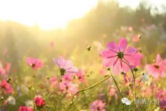 你为什么频繁眨眼,我们为什么经常不由自主的眨眼睛