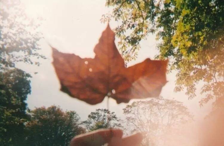 圣诞遐思｜在看似华丽的中场战事后，学会安然面对此生孤独