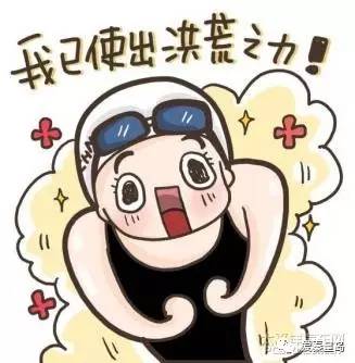 小岛公交车,小岛公交