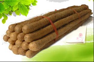 山药进补吗,滋补圣品山药食疗法