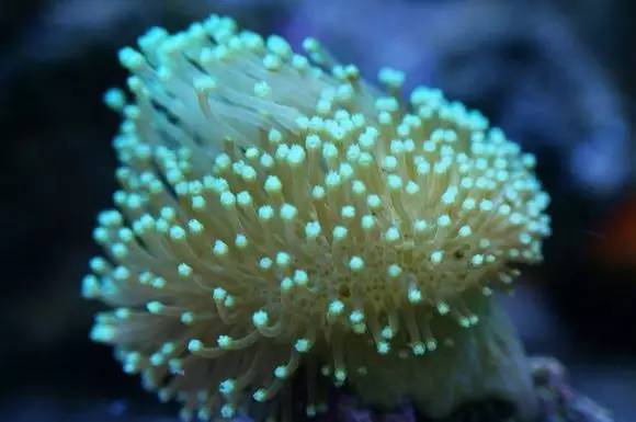 玩的真溜,三千玩出了三万的水平!