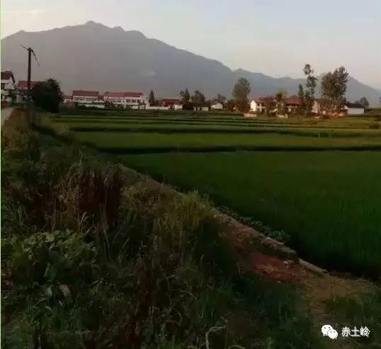 勉县沙建国,沙建国与老沙