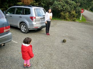 《小丫头的奇异之旅》第11章，第十天，周三