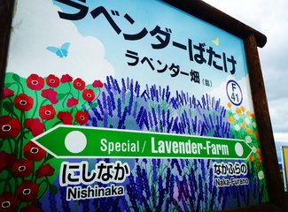 人在美途民族风旅拍,人在美途