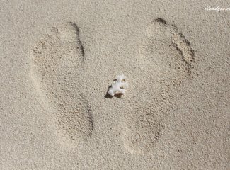 离天堂最近的地方张杰,离天堂最近的地方歌曲