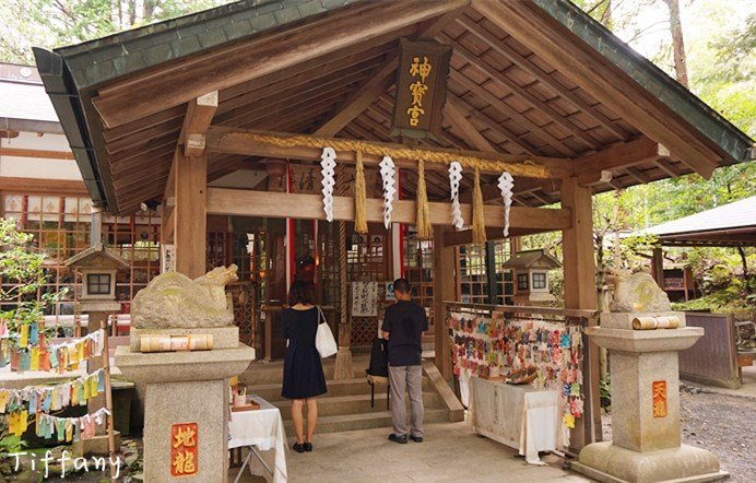 京都10月旅游攻略,京都枫叶季一日游
