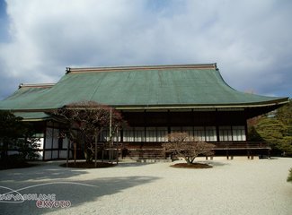 逛不尽的东瀛－二刷日本十五天