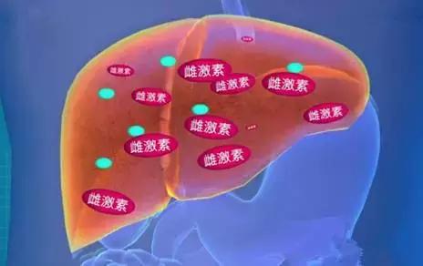 脸上长黄斑怎么检查,看脸上的斑如何知道什么病因