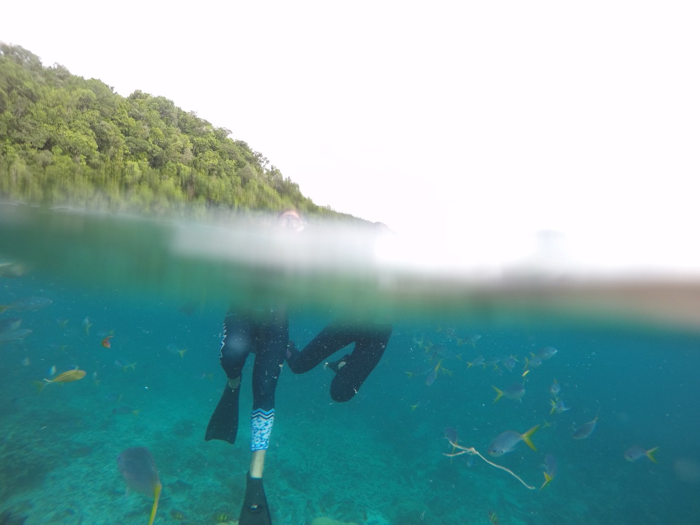 帕劳旅行攻略大全图文,帕劳旅行攻略图文大全