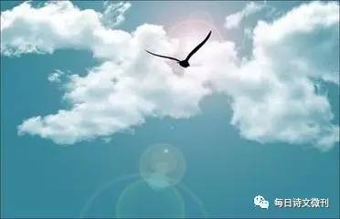 随笔青春的遗憾,随笔青春是一场孤独的盛宴