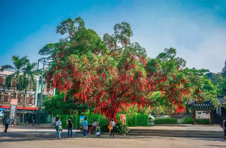 深圳到云南高铁路上美景,中国高铁最美路线