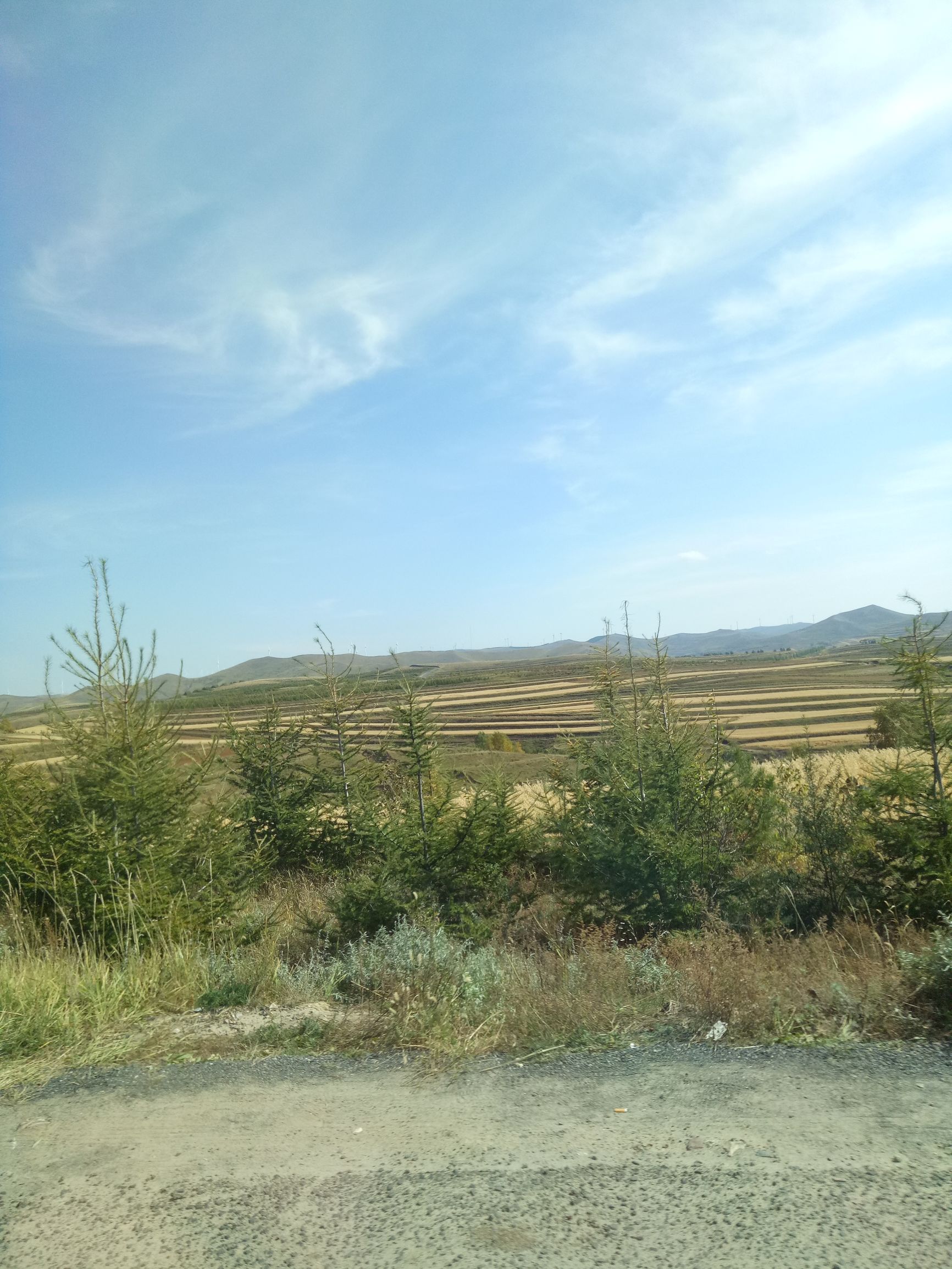 张北的草原天路之旅,张北天路攻略