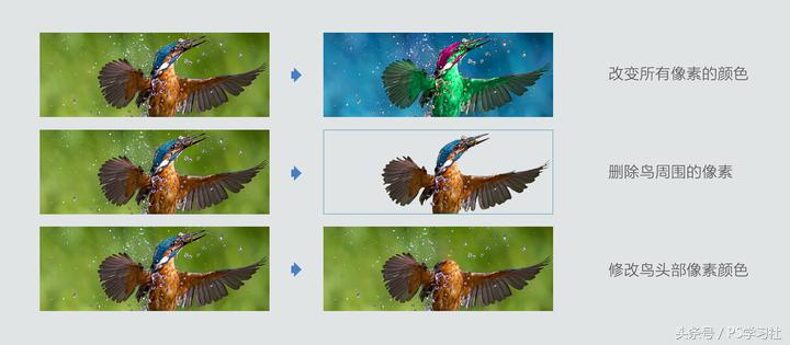 ps操作教程新手入门,ps新手入门教程免费抠图